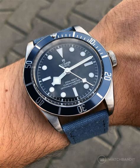 tudor lunette|tudor black bay chrono blue.